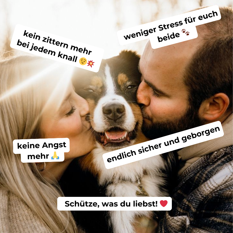 SilentPaws