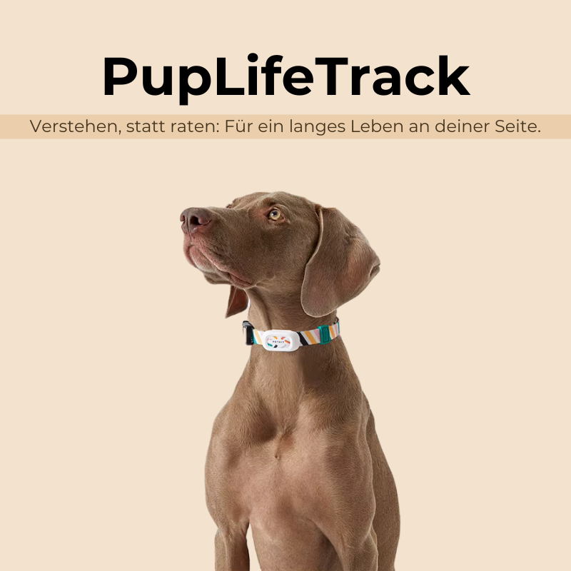 PupLifeTrack