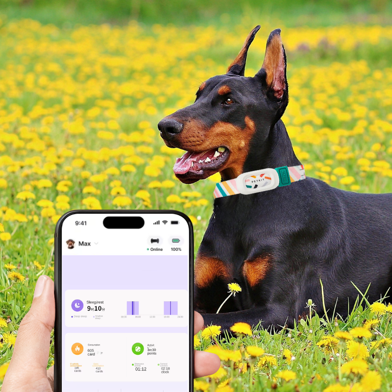 PupLifeTrack