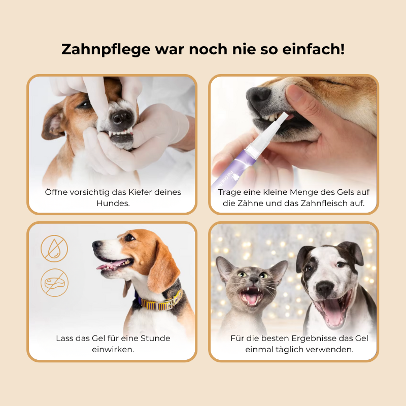 FreshBite™ - Zahnreparaturgel für Hunde