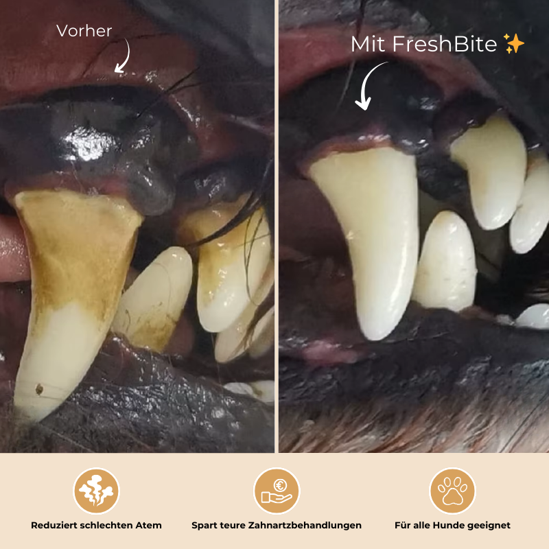 FreshBite™ - Zahnreparaturgel für Hunde