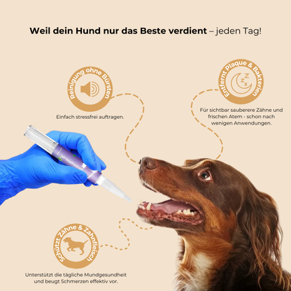 FreshBite™ - Zahnreparaturgel für Hunde