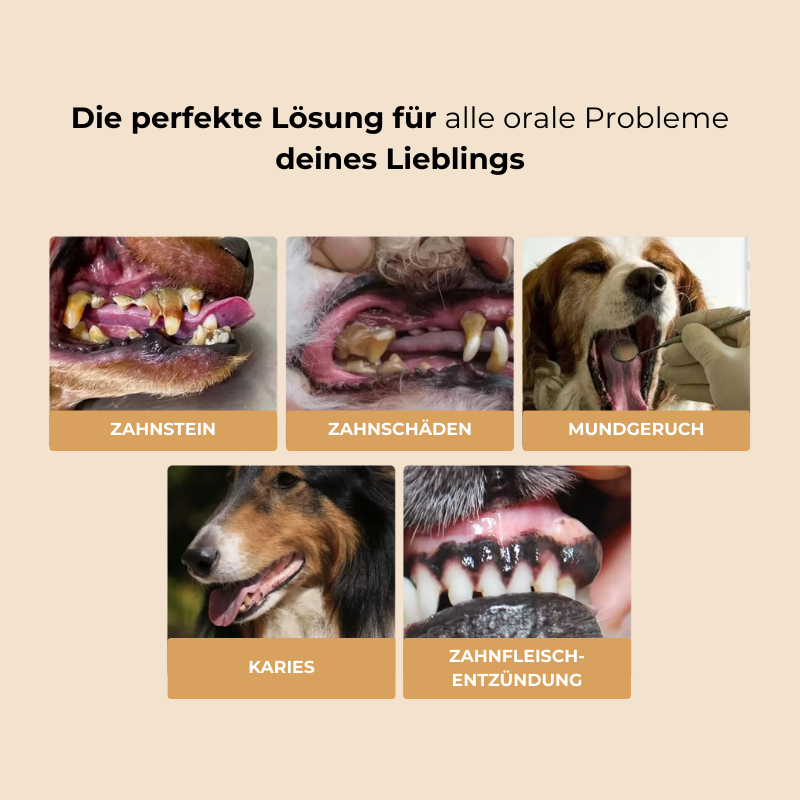 FreshBite™ - Zahnreparaturgel für Hunde