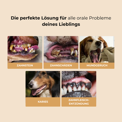 FreshBite™ - Zahnreparaturgel für Hunde