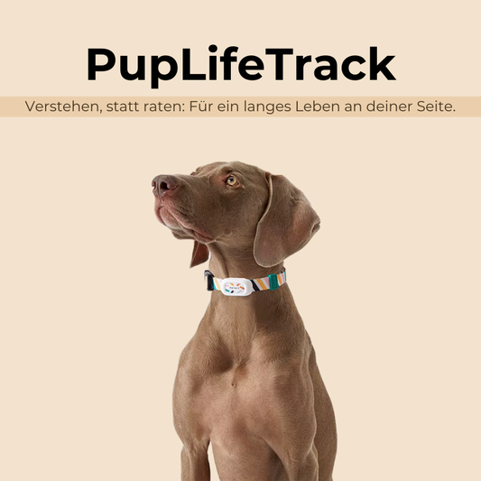 PupLifeTrack